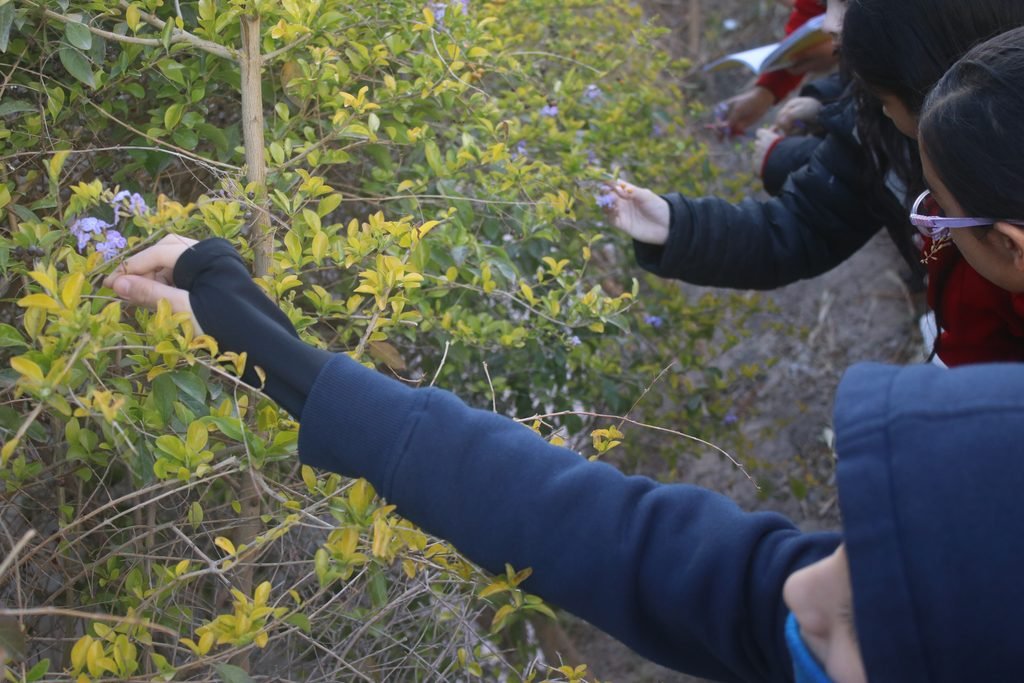 A Las Fuentes pupil exploring plants outdoors