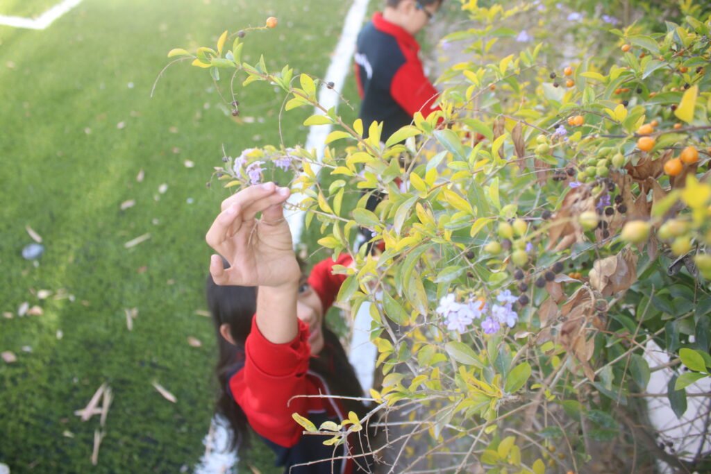 Live Green in the community