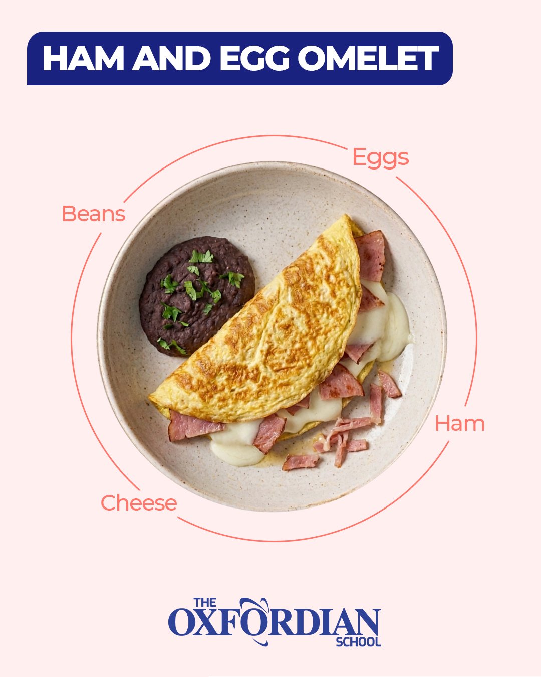 A ham and egg omelet served with refried beans, labelled with its ingredients: eggs, ham, cheese and beans